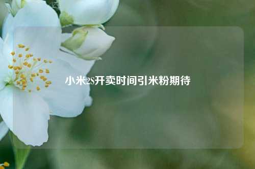 小米2S开卖时间引米粉期待