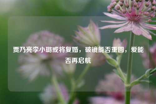 贾乃亮李小璐或将复婚,破镜能否重圆,爱能否再启航