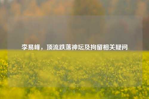 李易峰,顶流跌落神坛及拘留相关疑问