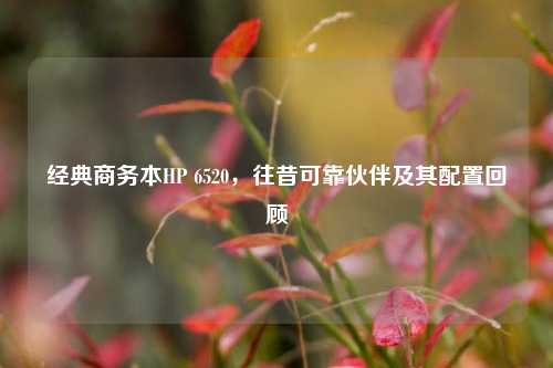 经典商务本HP 6520,往昔可靠伙伴及其配置回顾