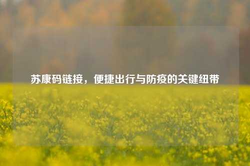 苏康码链接,便捷出行与防疫的关键纽带