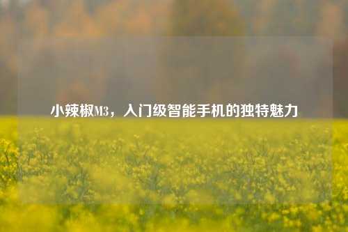 小辣椒M3,入门级智能手机的独特魅力