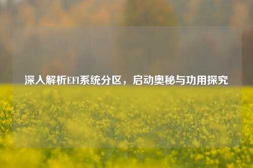 深入解析EFI系统分区,启动奥秘与功用探究