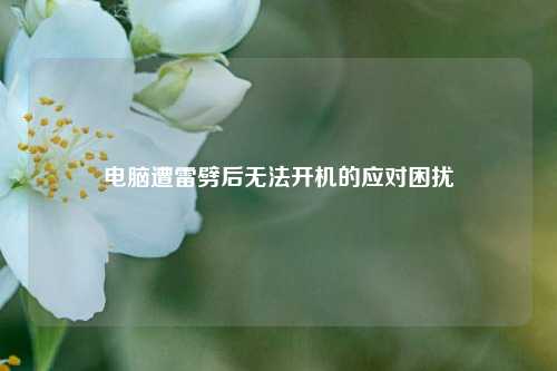 电脑遭雷劈后无法开机的应对困扰