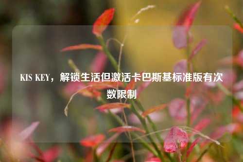 KIS KEY,解锁生活但激活卡巴斯基标准版有次数限制