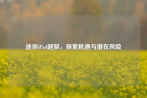 迷你iPad越狱，探索机遇与潜在风险