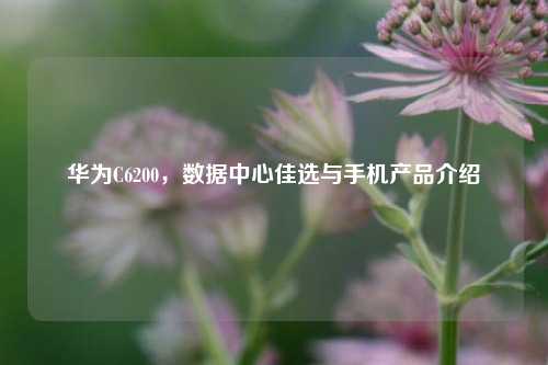华为C6200，数据中心佳选与手机产品介绍